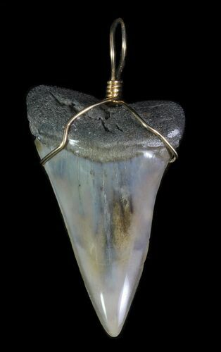 Polished, Fossil Mako Shark Tooth Pendant #65568